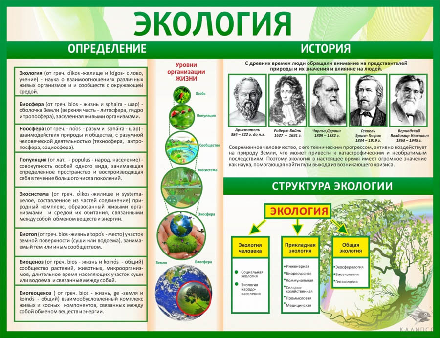 stendi-po-ekologii.jpg